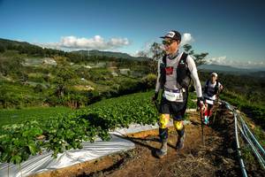 BIB: 212
                            <button type="button" onclick="openModal(19123546)" class="btn btn-primary btn-sm float-right btn-popup" data-toggle="modal" data-target=".modal-high-quality">
                        <i class="fas fa-shopping-cart"></i> Add to Cart
                    </button>
                                            <button type="button" onclick="isThisMe(19123546, true)" class="btn btn-success btn-sm float-right btn-popup btn-isme hidden" data-toggle="tooltip" data-placement="bottom" title="นี่คือรูปของคุณใช่ไหม คลิกที่นี่เพื่อเอาเข้าอัลบั้ม">
                        <i class="fas fa-plus"></i> Add to album
                    </button>
                    <button type="button" onclick="isThisMe(19123546, false)" class="btn btn-warning btn-sm float-right btn-popup btn-isnotme hidden">
                        <i class="fas fa-ban"></i> Remove from album
                    </button>